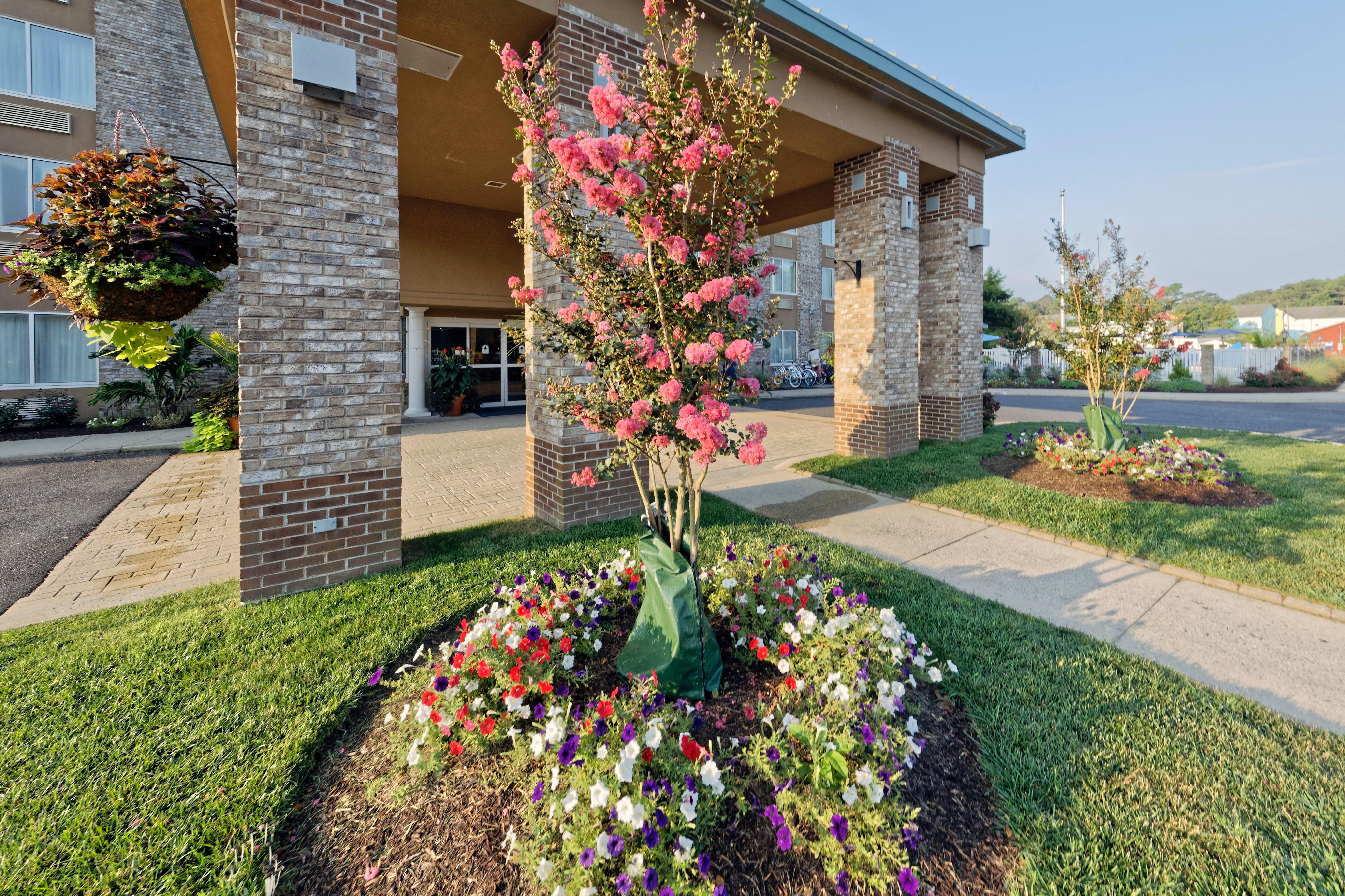 Hotel Bethany Beach Dış mekan fotoğraf